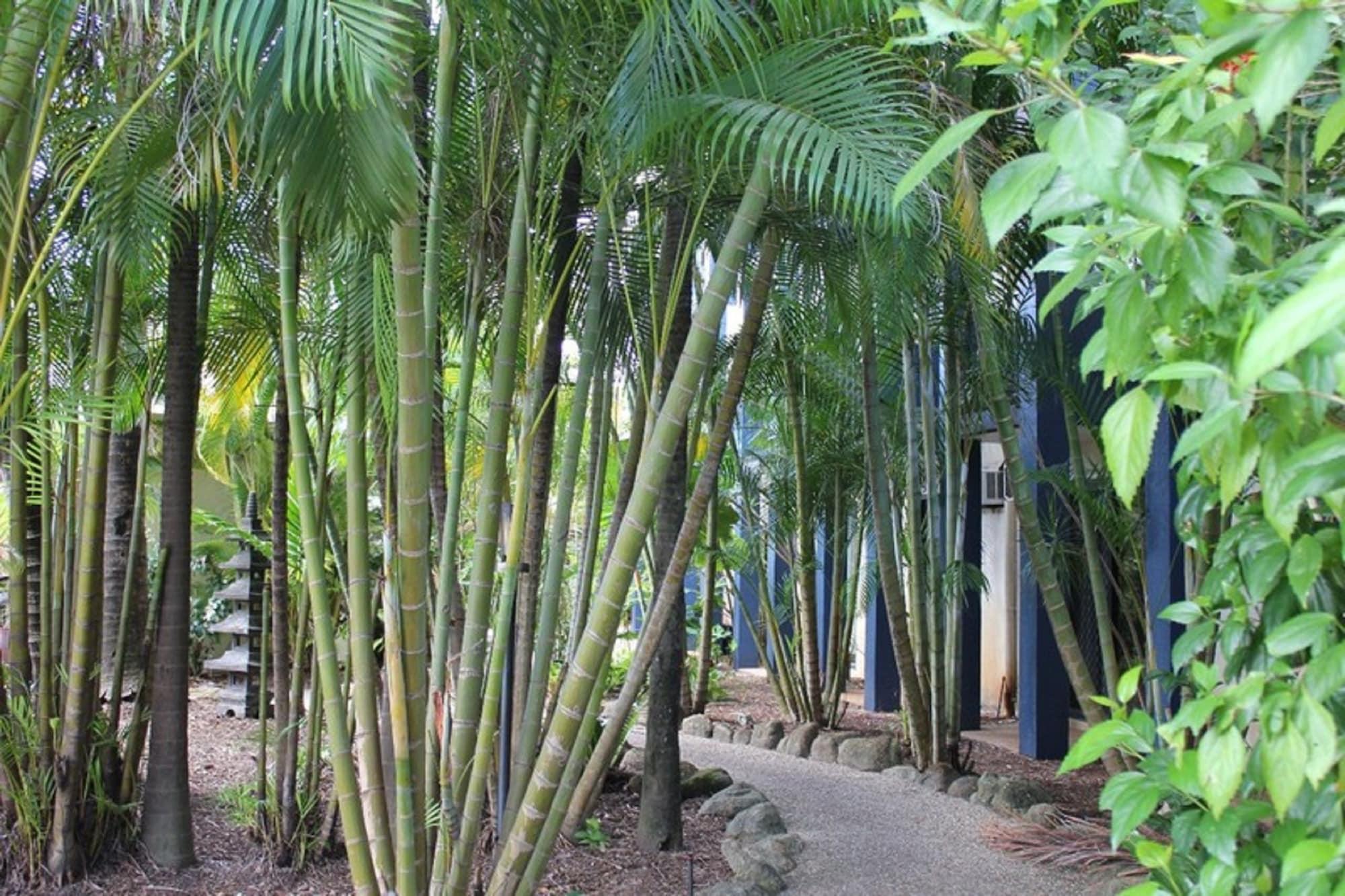 Bohemia Resort Cairns Exterior foto